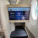 541 | 인천 프랑크푸르트 아시아나 항공 OZ541 비지니스 후기! - 기내식, 2터미널 수속 후기, 좌석