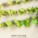 주신환경 이미지