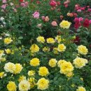 평화공원 내 이미지