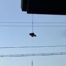 삼동 스테이 이미지