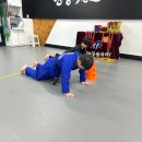 천명태권도장 이미지