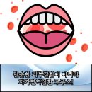 성모류마내과의원 | 인천 성모류마내과 의원 어떤 진료를 볼까요?