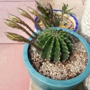 남해우리집 이미지