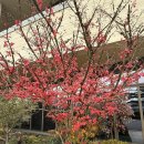 에이치원 클럽(H1 CLUB) | H1 CLUB(에이치원 클럽 에이치원CC)