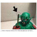 집에서 파키우기 이미지