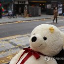 곰테이블 이미지