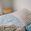 탈로 제주 이미지