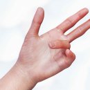 세종수지 이미지