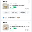 강아지옷 990원 창고방출 (배송비 3천원있음)‼️다 품절됨 끝🚫‼️ 이미지