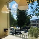 사파동198 이미지