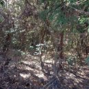 서호동-49 이미지