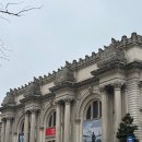 C.K뉴욕바닷가재 | 뉴욕 Liberty Bagels 웨이팅없이 20프로 할인 MOMA 작품추천 (4일차)