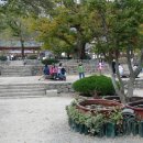 냇가에앉아서 이미지