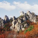 강원도래요 이미지