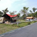 인삼골오토캠핑장 이미지