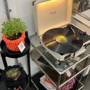 상남동243 | ep10.가을아 오긴 오는 거니?