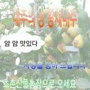 초촌농장 네이버블로그