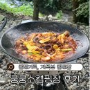 소계곡 | 캠핑기록 : 계곡뷰 힐링 캠핑장, 쿵쿵소캠핑장 후기(도데카 돔쉘터)