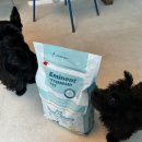 (주)에미넌트 이미지