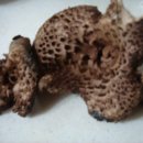 금화농장 이미지