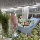 가림 | 부산 광안리 꽃집 생일 기념 꽃다발 가림 추천 후기