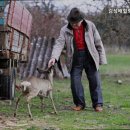 김성배힐링홈요양원 이미지