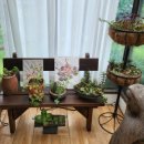 물맑은집 이미지