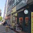 스프링왈츠더가든