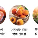 특품농산