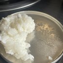 낙원게임랜드 | [안산] 조순금닭도리탕 | 본오동 가족 외식 | 상록수역 점심, 저녁 추천 | 내돈내산 후기