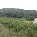 다온농원 이미지