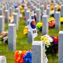수안장 티스토리