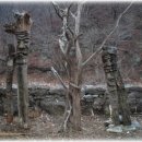 덕현3농장 이미지