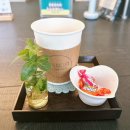 아산미용실 천안미용실 빌드업펌 아이디헤어 펌&amp;컬러마스터 영찬부원장 솔직후기