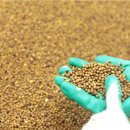 동방시장 이미지