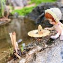 도레미 돌스 이미지