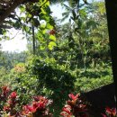 결성농장 이미지