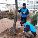 하나나무병원
