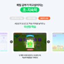 엘리하이 밀크티 홈런 서비스 비교 후기 7세 학습과정