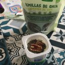 씨드민박 | 포르투갈 포르투 자유여행 일정 경비 숙소 | 개인 카페 대존맛 나타, 힐링 정원 추천