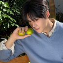 이기택 | 이기택, 차승원 김희애 빵만들기 예능 봉주르빵집 5월 공개