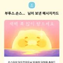 손스타님 감사합니닷&연말인사 이미지