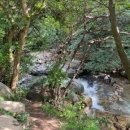 송일식당 이미지