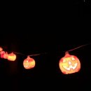 구덕야영장 이미지