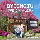 버스정류장 : 나무와학교앞 | 경주월드 스콜앤하티 드라켄 놀이기구 후기 | 뚜벅이 경주여행