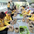 덕풍 2농장 이미지