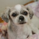 (유)보미 이미지