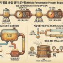 효가1로-L | 위스키 제조의 핵심 공정으로서의 발효에 대해