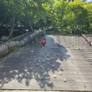 정읍사공원 유아숲체험원 이미지