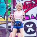 바디차트 이미지